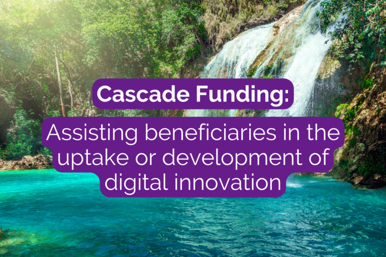 Cascade Funding: Assisting beneficiaries in the uptake or development of digital innovation